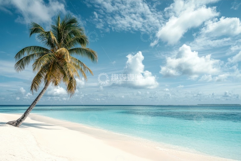 高清大图下载【趣麦麦图】夏季沙滩海岸椰树美景