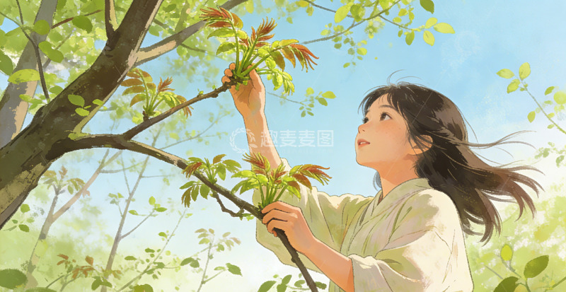 高清大图下载【趣麦麦图】春日少女树木摘香椿插画