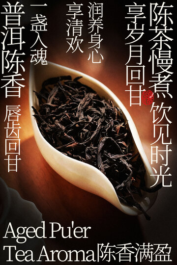 陈香普洱茶叶茶饮海报