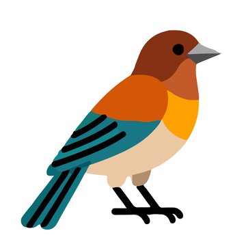 卡通风小鸟插画设计素材