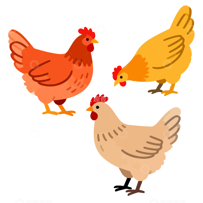 源文件下载【趣麦麦图】卡通鸡矢量图素材