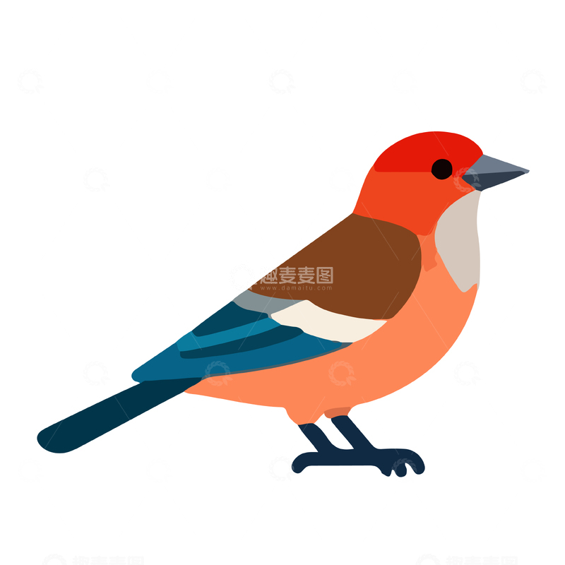 源文件下载【趣麦麦图】卡通风格鸟类插画设计元素