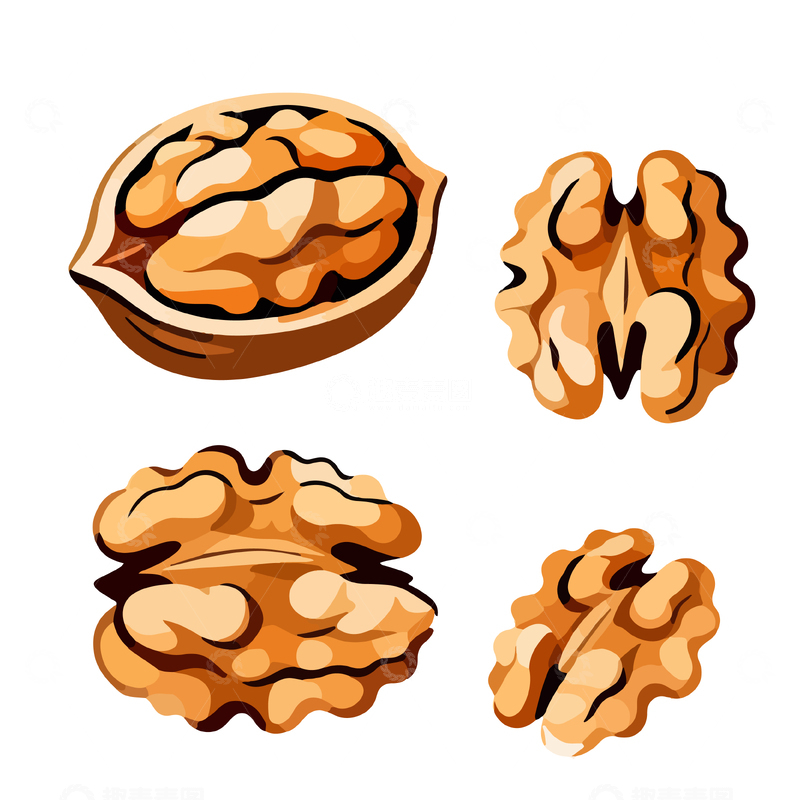 源文件下载【趣麦麦图】卡通核桃插画设计素材