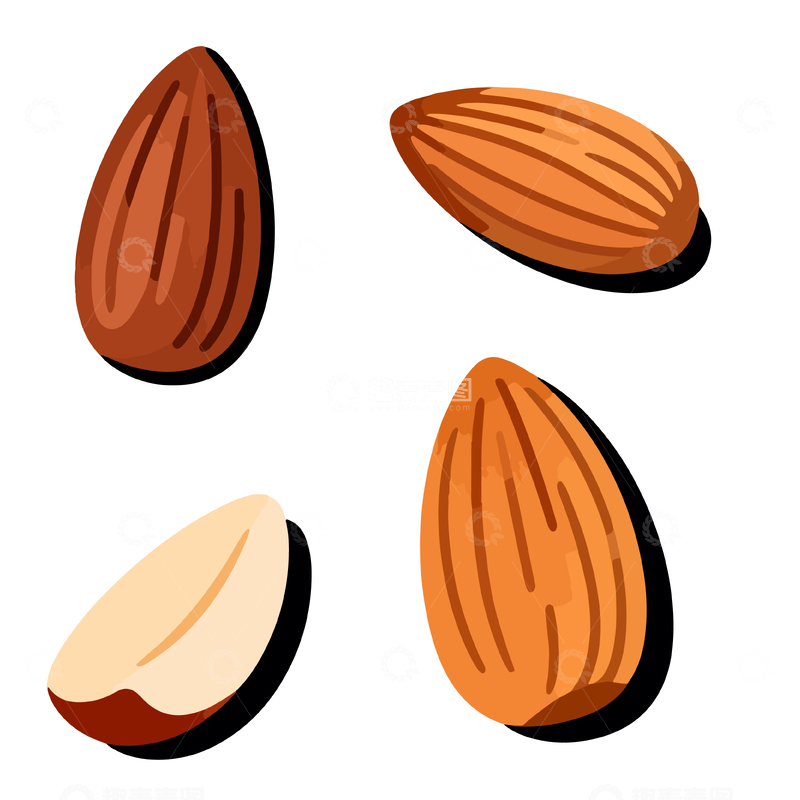 源文件下载【趣麦麦图】卡通杏仁坚果插画设计素材