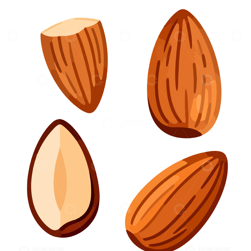 源文件下载【趣麦麦图】手绘杏仁坚果插画素材