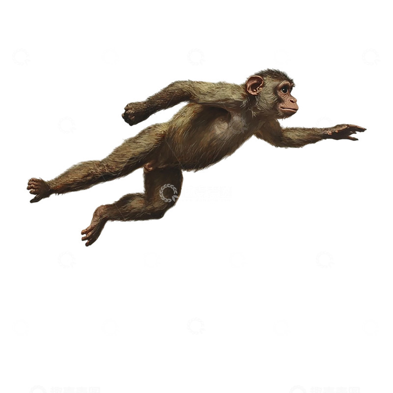 高清大图下载【趣麦麦图】远古猿类的跃动瞬间