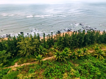 海岸线,波涛,沙滩,树木,天空