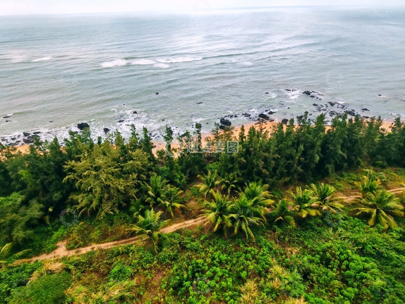 高清大图下载【趣麦麦图】-海岸线,波涛,沙滩,树木,天空
