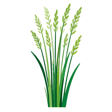 手绘绿色植物插画