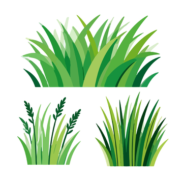 矢量风格绿色植物插画设计素材