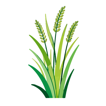 插画风格绿色植物矢量设计素材