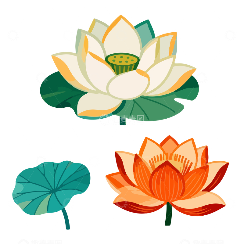 源文件下载【趣麦麦图】矢量风荷花元素插画设计素材