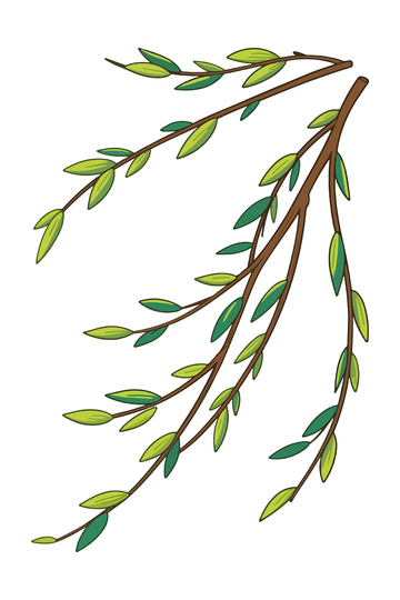 柳枝绿意盎然插画