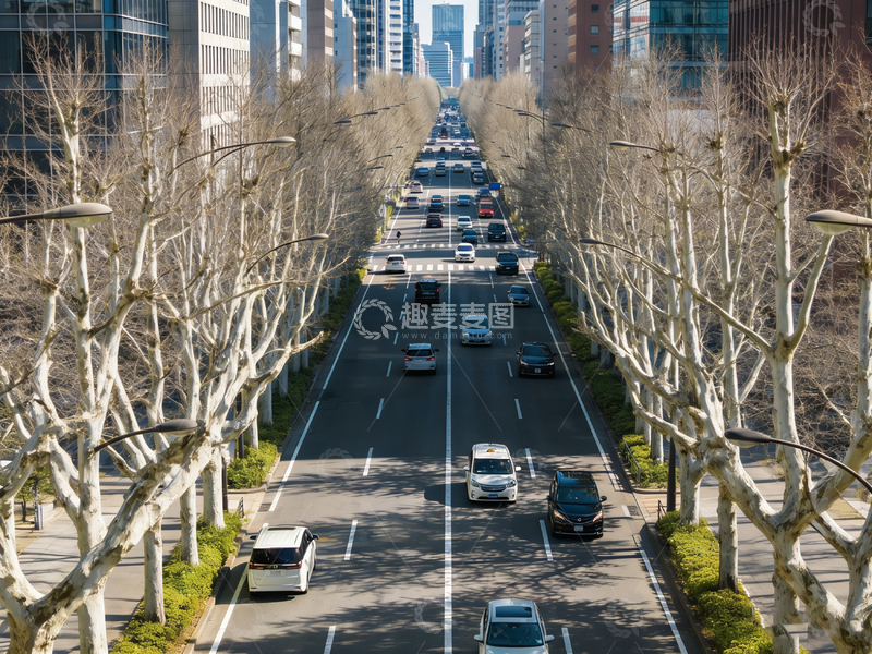 高清大图下载【趣麦麦图】都市大道树木排列