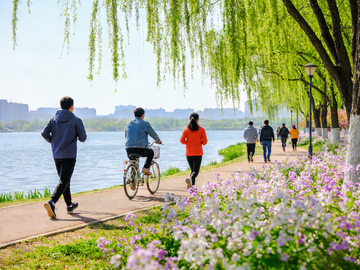 湖畔春行情景图