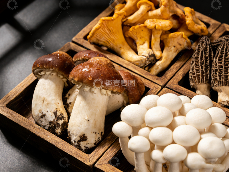 高清大图下载【趣麦麦图】多彩蘑菇拼盘摄影图片