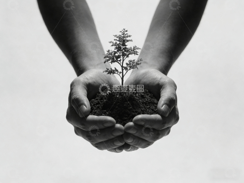 高清大图下载【趣麦麦图】黑白双手植绿环保主题摄影