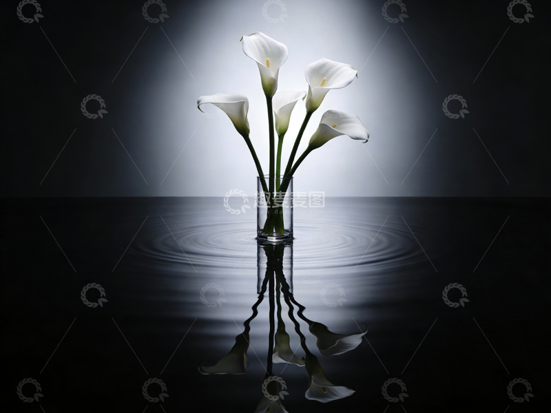 高清大图下载【趣麦麦图】简约马蹄莲花瓶艺术照