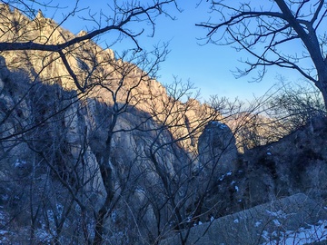 冬日山景树枝雪景
