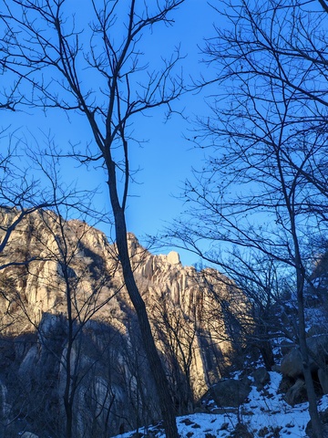 冬日山景雪景树木