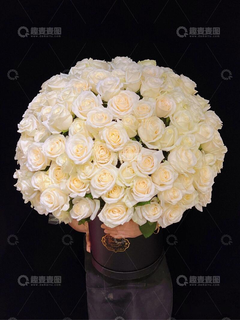 高清大图下载【趣麦麦图】治愈系粉色系鲜花壁纸ins风4