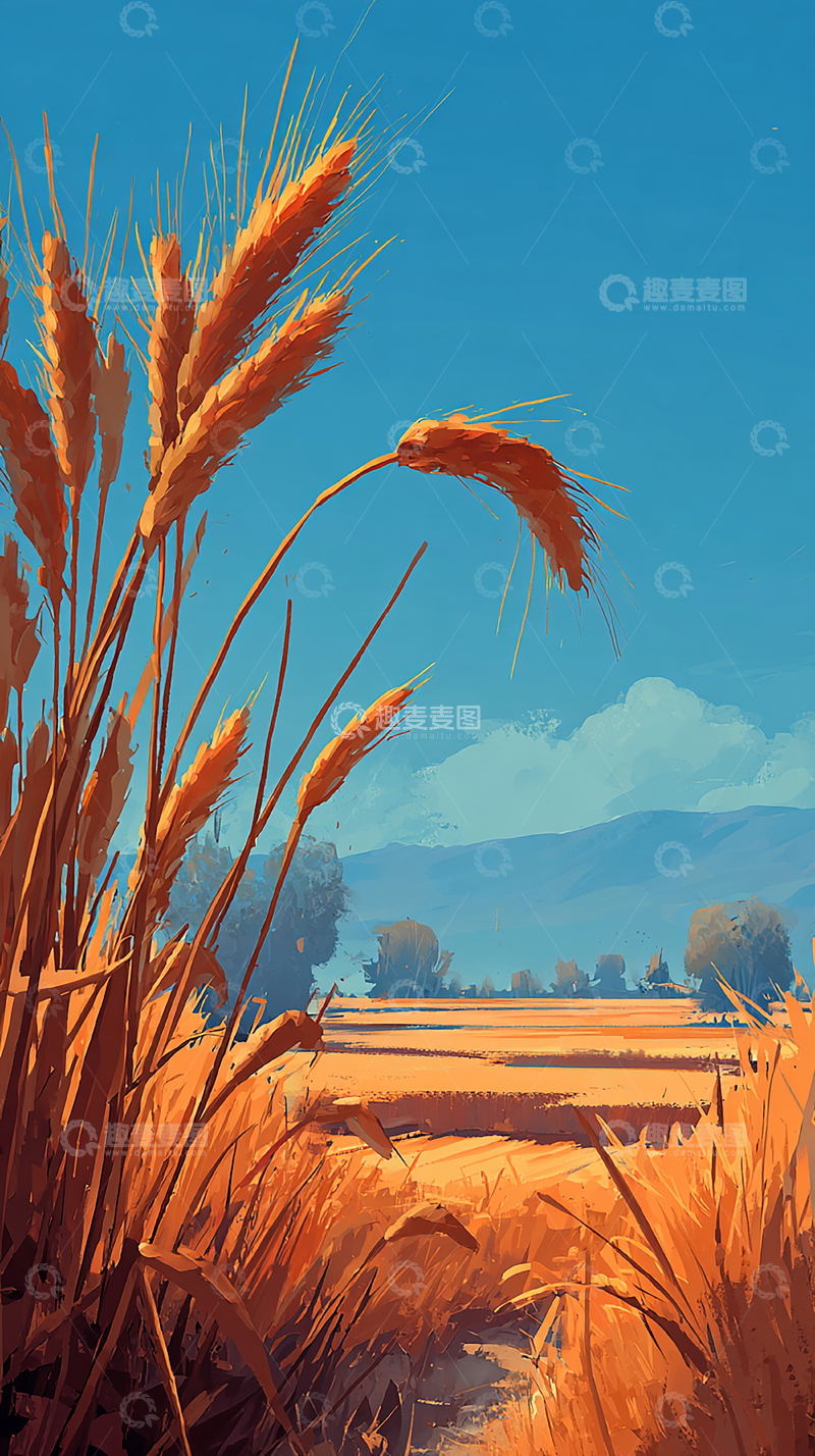 高清大图下载【趣麦麦图】金色麦田的日出奇景