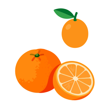 卡通橙子矢量插画素材