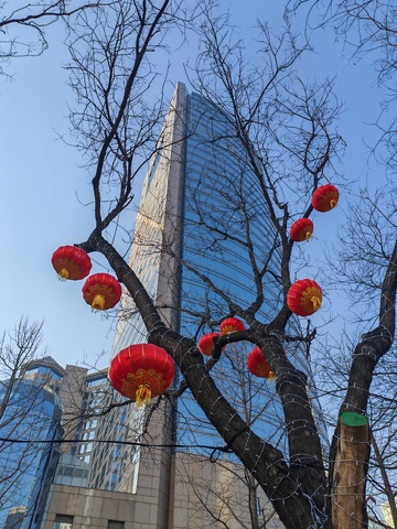 城市春节红灯笼高楼背景