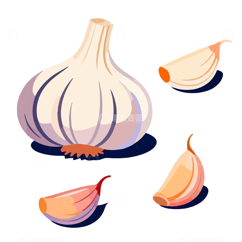 源文件下载【趣麦麦图】卡通风格大蒜插画设计元素