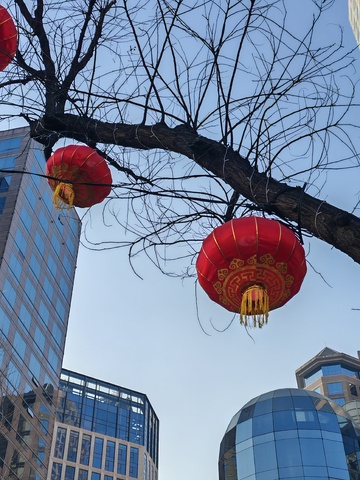 都市春节红灯笼风景