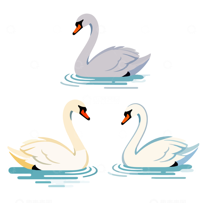 源文件下载【趣麦麦图】天鹅游泳插画合集