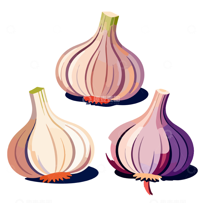 源文件下载【趣麦麦图】矢量风格大蒜插画设计素材