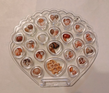 透明盒中多样小石子