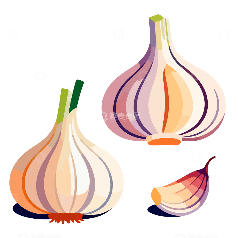 源文件下载【趣麦麦图】简约风大蒜插画设计素材