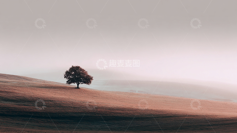 高清大图下载【趣麦麦图】孤独之树在晨曦中低语