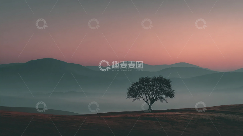 高清大图下载【趣麦麦图】孤树荒原的寂寞守望者