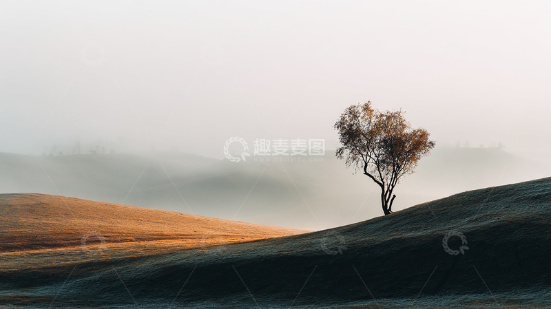 高清大图下载【趣麦麦图】孤独之树在晨雾中摇曳