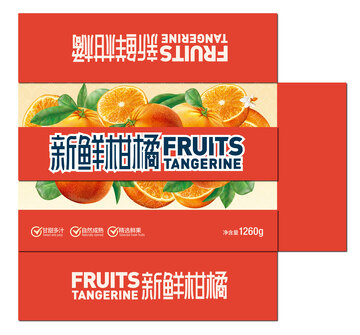 水果插画包装橘子