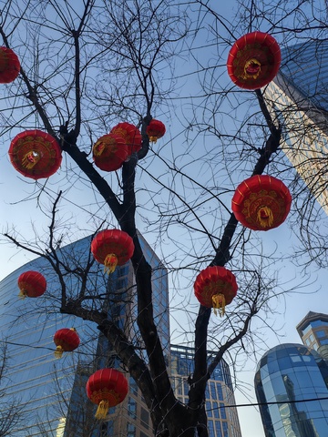 城市春节红灯笼装饰