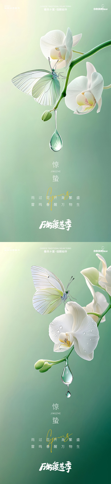春天蝴蝶兰蝴蝶摄影惊蛰海报设计