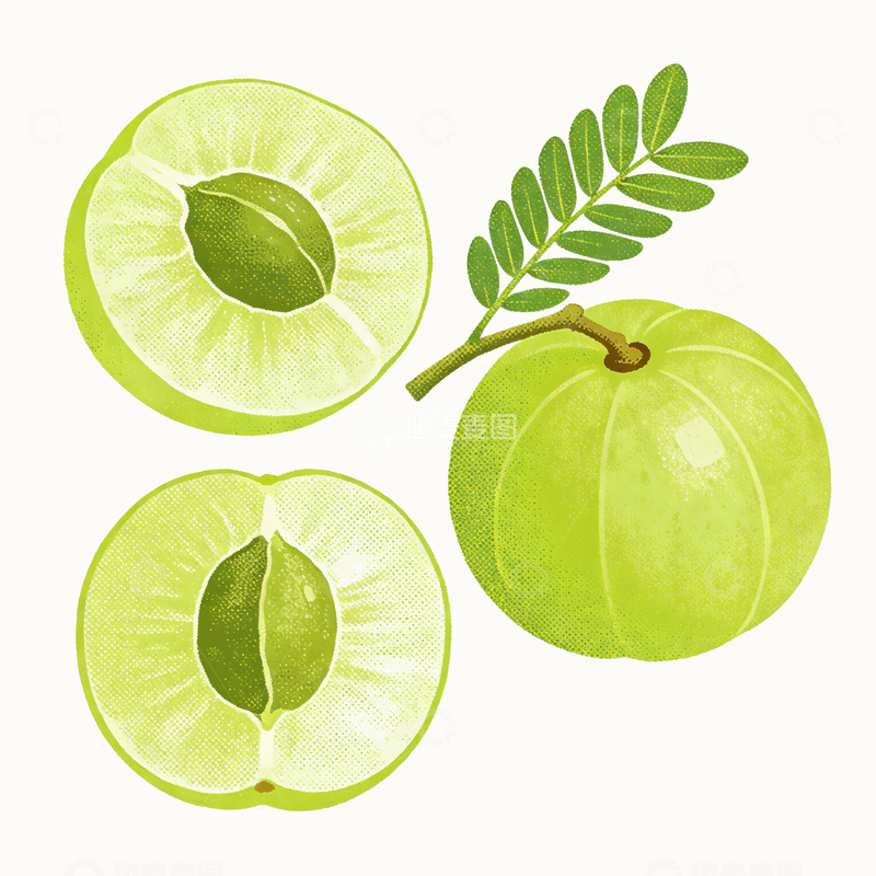 源文件下载【趣麦麦图】丝网印刷风格余甘子4