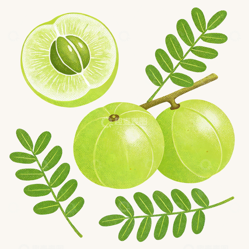 源文件下载【趣麦麦图】丝网印刷风格余甘子3