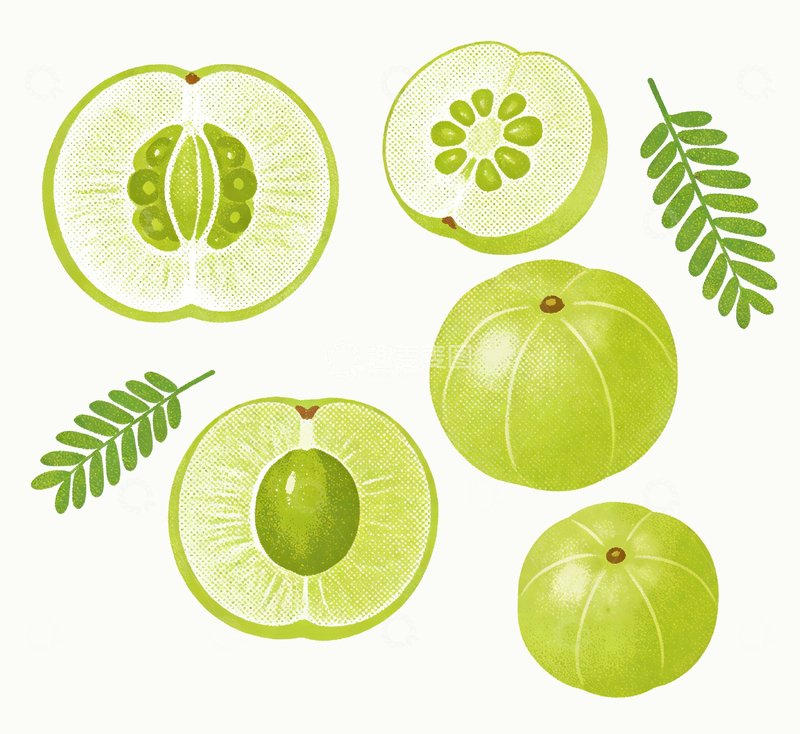 源文件下载【趣麦麦图】丝网印刷风格余甘子2