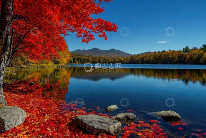 高清大图下载【趣麦麦图】-秋季湖泊红枫树