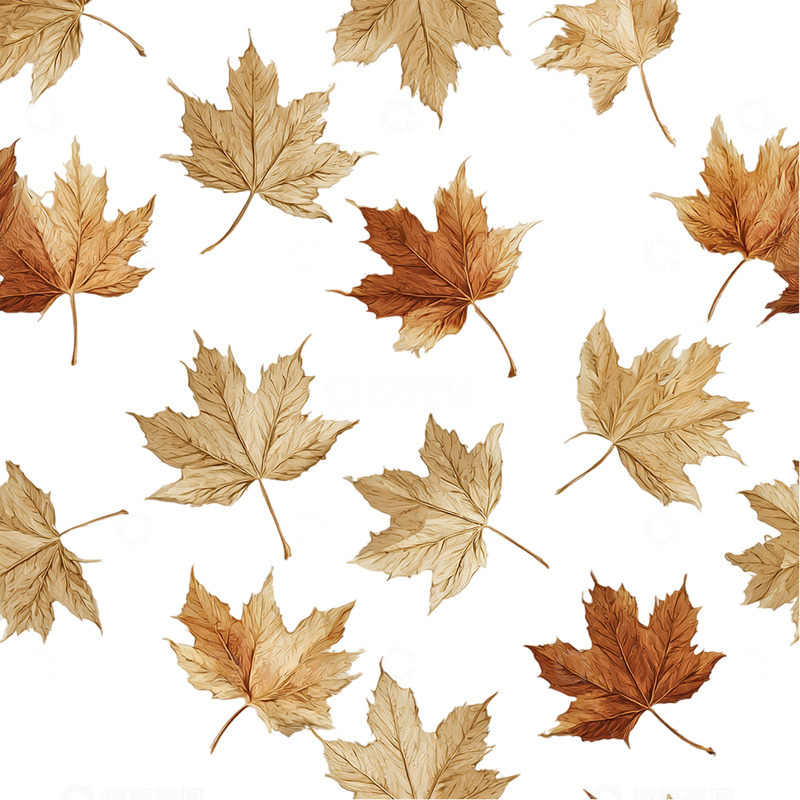 高清大图下载【趣麦麦图】秋风萧瑟落叶如梦