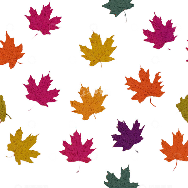 高清大图下载【趣麦麦图】秋叶纷飞的奇幻舞台