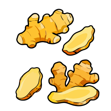 卡通风格姜块矢量插画素材