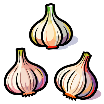 手绘大蒜插画素材