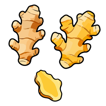 卡通风格姜块插画设计素材