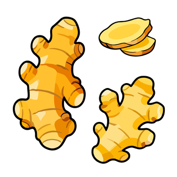 卡通风格生姜插画素材